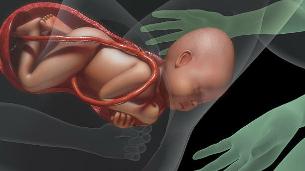 Pré-natal de Alto Risco: Sinais que Pedem Acompanhamento Mais Próximo — Dra. Sabrina Chagas Instituto Vitta Prime